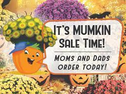 Elementary Mumkin Sale