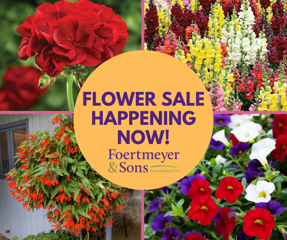 Flower Sale Happening Now